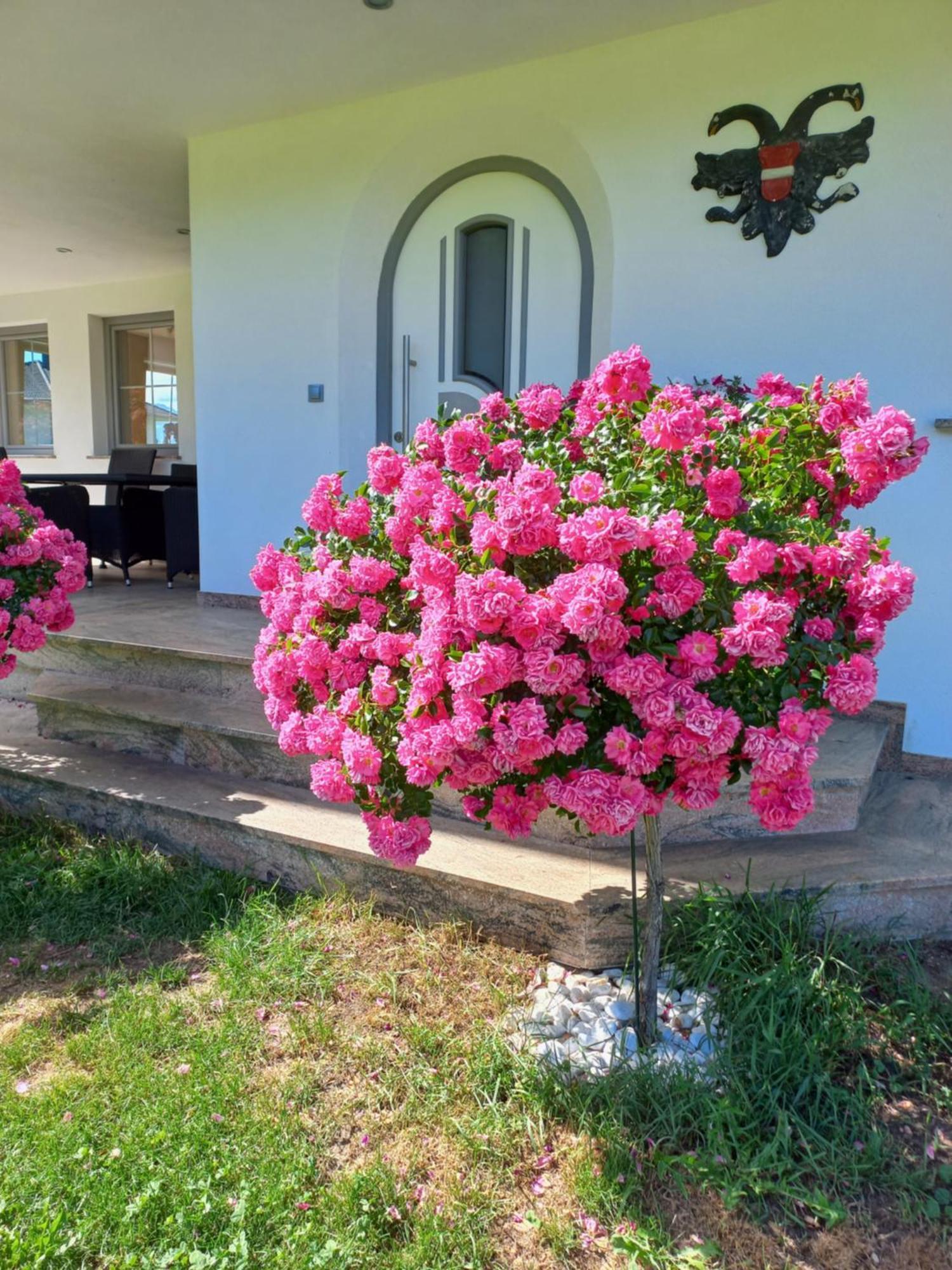Appartement Gaestehaus Weber Oberperfuss