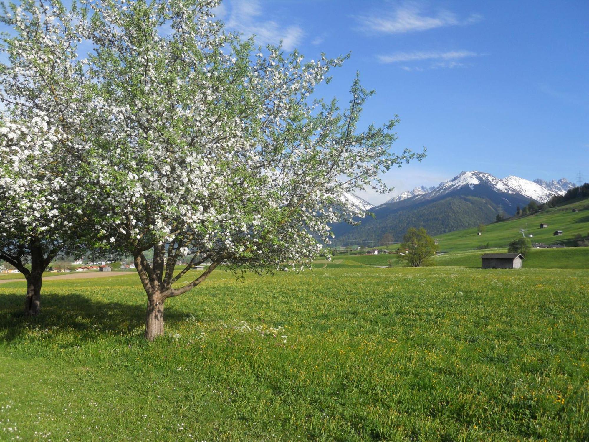 Appartement Gaestehaus Weber